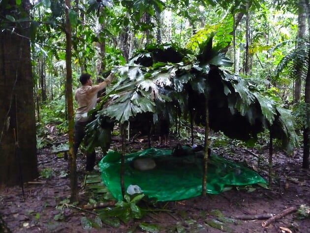 Trek de survie en Amazonie : construction de notre cabane – 3ème partie, Bolivie
