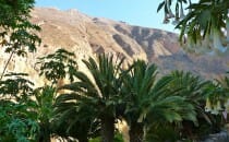 oasis canyon de colca pérou