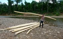 rondins de bois pour raft parc national de Madidi Bolivie