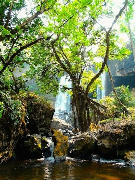 cascade secrete au plateau des bolovens laos