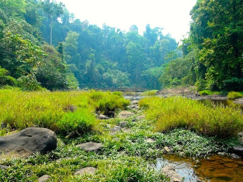 paysages bolovens laos